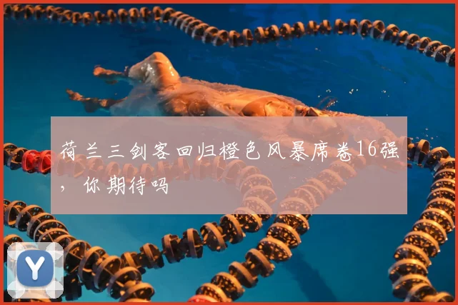 荷兰三剑客回归橙色风暴席卷16强，你期待吗